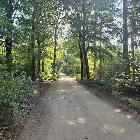 Voorthuizen Nabij De Bossen Appartamento Putten