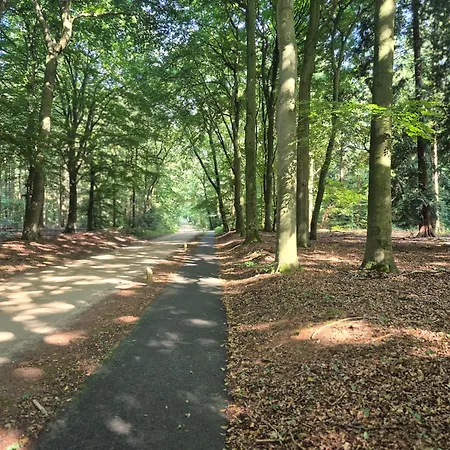 Voorthuizen Nabij De Bossen 아파트