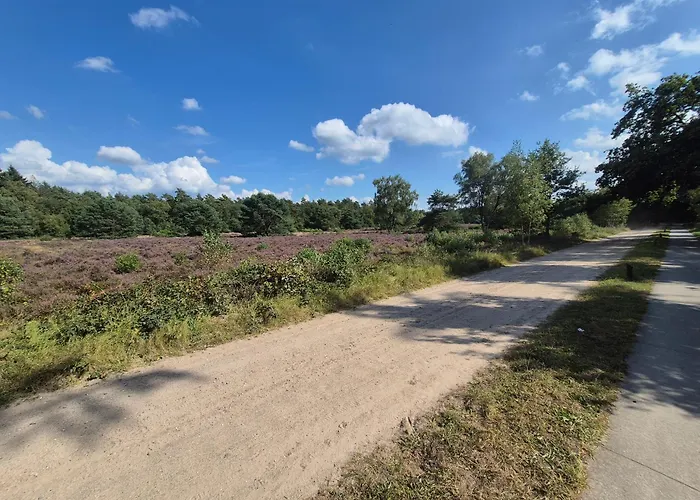 Voorthuizen Nabij De Bossen Appartement *