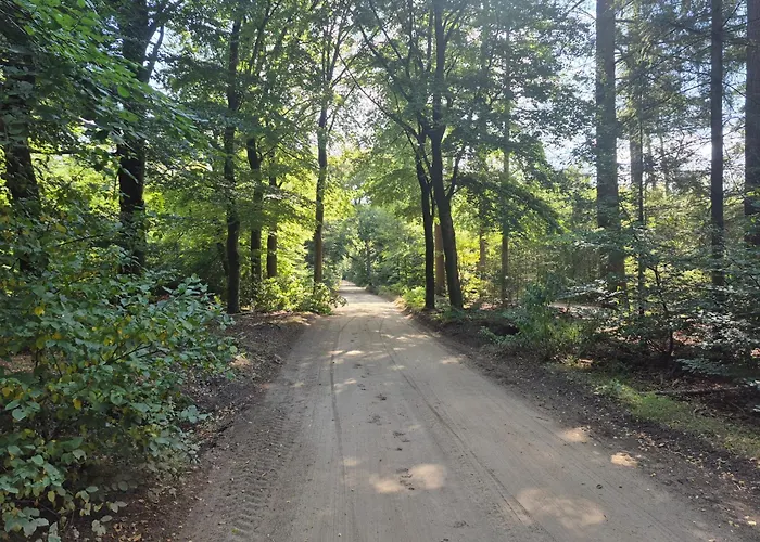 Voorthuizen Nabij De Bossen 아파트 푸텐