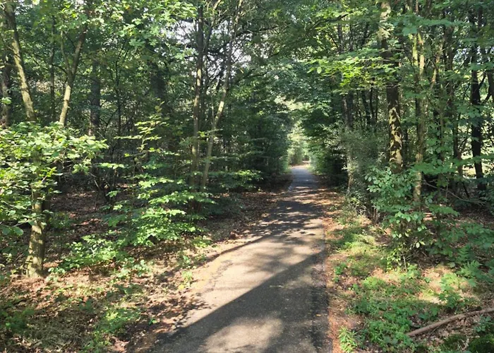 Voorthuizen Nabij De Bossen * Putten