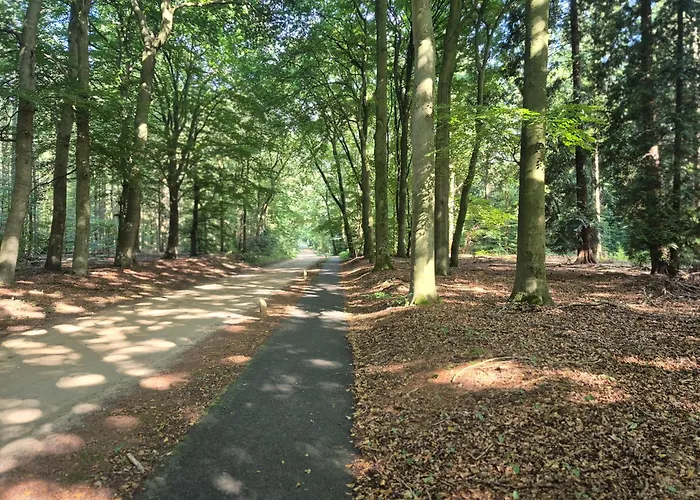 Voorthuizen Nabij De Bossen Appartement
