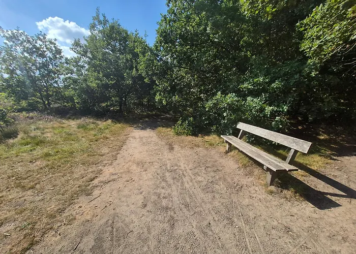 Appartement Voorthuizen Nabij De Bossen