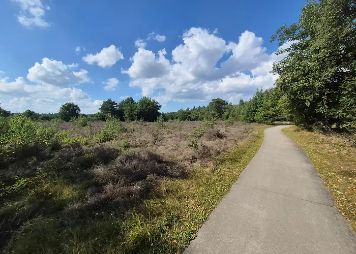 Voorthuizen Nabij De Bossen 아파트 *