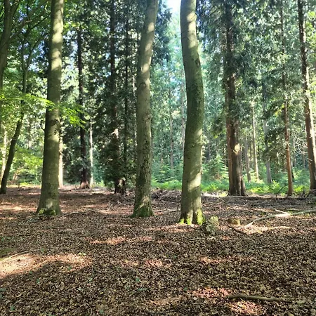 Voorthuizen Nabij De Bossen Apartmán Putten